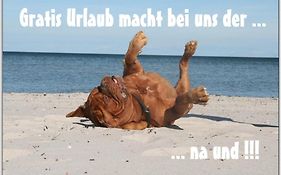 Bungalow WALD&SAND direkt am Strand